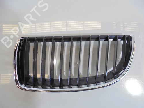 Grill/Gitter BMW 3 (E90) 320 i (150 hp) PT807AL | PT807AL  | IZQ |