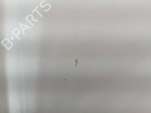 Hood LAND ROVER RANGE ROVER EVOQUE (L538)  | BP28074343C1