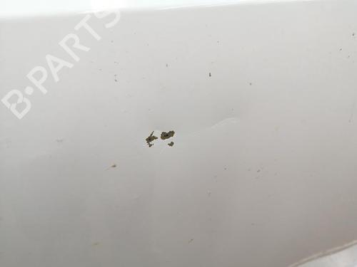Right front door CITROËN BERLINGO Box Body/MPV (K9)  | BP29704097C3 