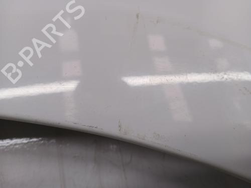 Left front fenders OPEL VIVARO B Van (X82) 1.6 CDTI (05) | BP24305976C41 