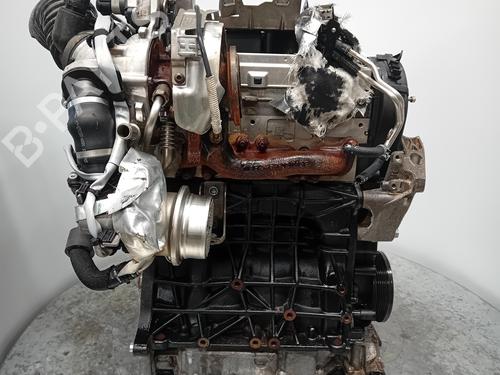 Engine VW GOLF VIII (CD1, DA1)  | BP27318568M1 