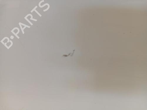 Left front door DACIA SPRING EV (B6M1) | BP37033036C2 - Image 2