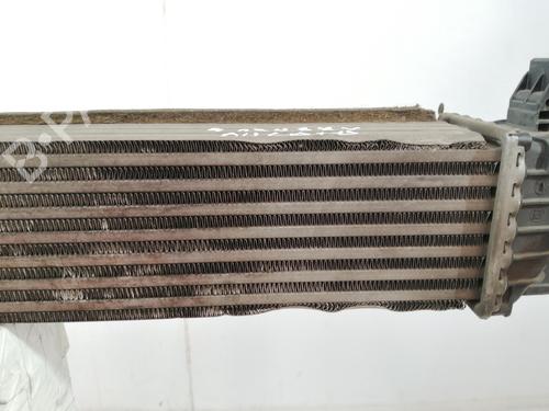 Intercooler FIAT DUCATO Van (250_)  | BP29393736M30 