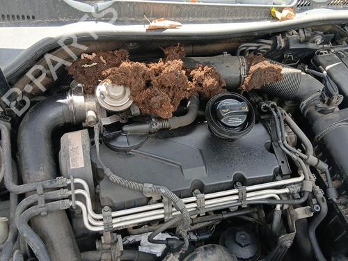 Engine VW GOLF V (1K1) | BP38530682M1 - Image 11