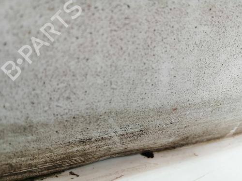 Left front door FORD FIESTA V (JH_, JD_) 1.4 TDCi | BP28118882C2 