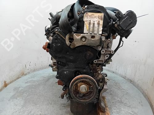Engine FORD FIESTA VI (CB1, CCN) 1.6 TDCi | BP23189710M1 