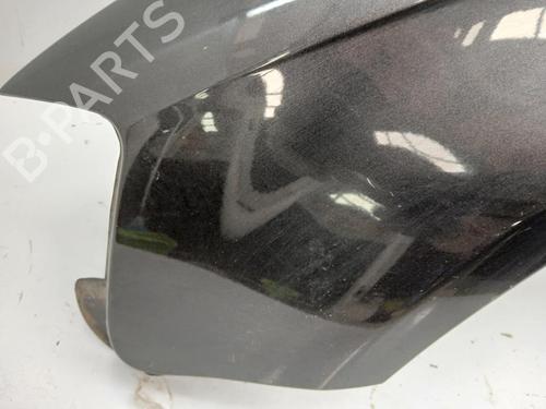 Left front fenders AUDI A3 (8P1) 1.9 TDI | BP29865498C41