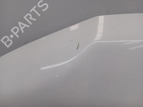 Hood LAND ROVER FREELANDER 2 (L359) 2.2 TD4 4x4 | BP29714791C1 