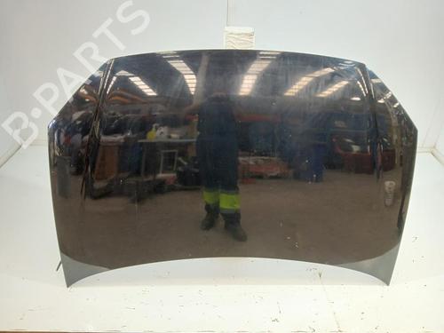 Used Hood VW POLO IV (9N_, 9A_) 1.4 TDI (80 hp) 30269497