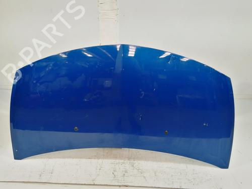Used Hood RENAULT CLIO III (BR0/1, CR0/1) 1.2 16V (BR0P, CR0P) (101 hp) 19512806