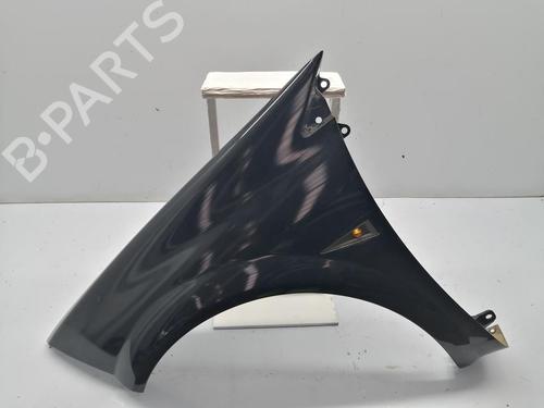 Used Left front fenders RENAULT MEGANE II Saloon (LM0/1_) 1.9 dCi (LM0G, LM1G, LM2C) (120 hp) 30856107