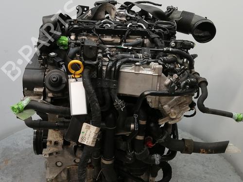 Motor VW PASSAT ALLTRACK B8 Variant (3G5, CB5) 2.0 TDI 4motion | BP29904172M1
