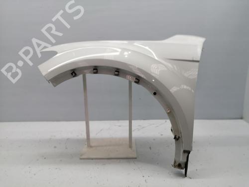 BP31131767C41 main image