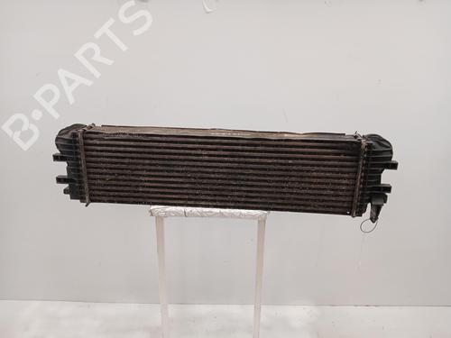Intercooler MERCEDES-BENZ V-CLASS (W447)  | BP21170114M30 