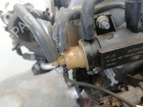 Motor FORD FIESTA VI (CB1, CCN)  | BP28208530M1 