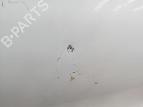 Hood RENAULT KANGOO (KC0/1_) 1.5 dCi | BP24195584C1 