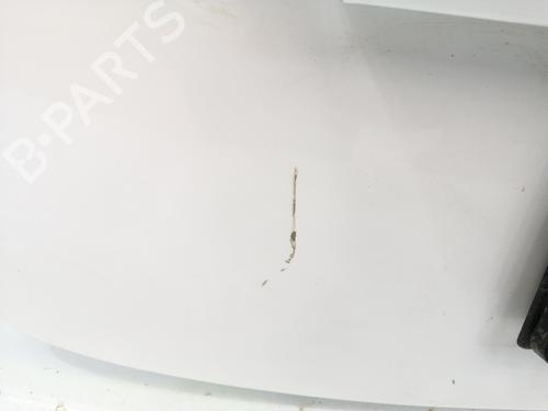 Tailgate TESLA MODEL 3 (5YJ3)  | BP29546972C6 