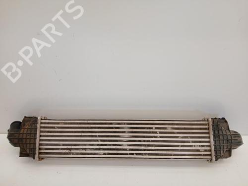 Intercooler Intercooler FORD KUGA II (DM2) 2.0 TDCi 4x4 (163 hp) 36262176 36262176