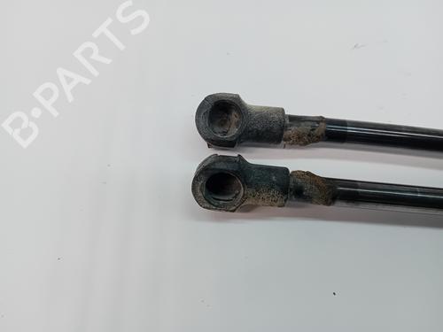 Tailgate lift support BMW 3 (E46) 320 d | BP24342396C138 