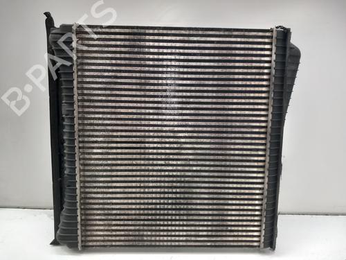 Intercooler LAND ROVER DISCOVERY IV (L319) 3.0 TD 4x4 | BP16564488M30
