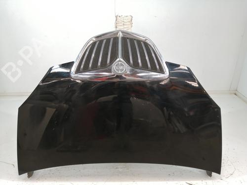 Used Hood LANCIA MUSA (350_) 1.9 D Multijet (350.AXC1A) (101 hp) 29322019