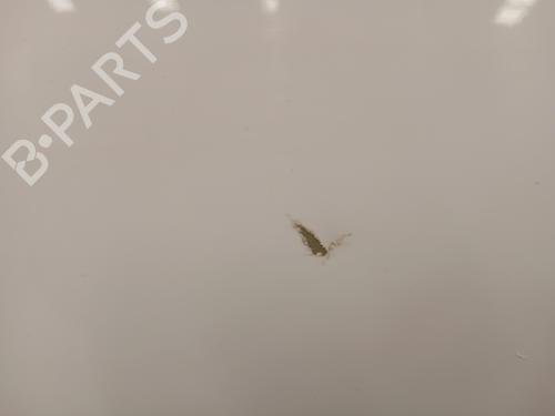 Left rear door CITROËN C3 III (SX)  | BP24947642C4
