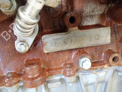 Engine FORD PUMA (J2K, CF7)  | BP28209199M1 