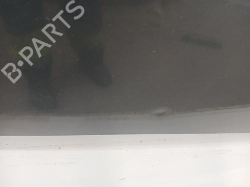 Hood SEAT IBIZA III (6L1)  | BP29338135C1 