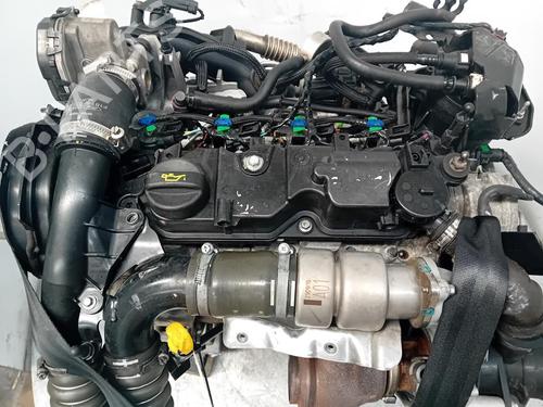 Used Engine Engine FORD FIESTA VI (CB1, CCN) [2008-2026] 36049267 36049267