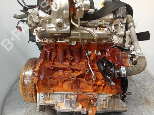 Engine FORD TRANSIT V363 Van (FCD, FDD)  | BP27997352M1 