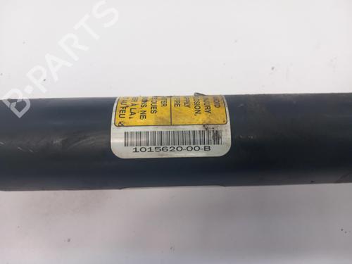 Right rear shock absorber TESLA MODEL S (5YJS)  | BP19035937M19 