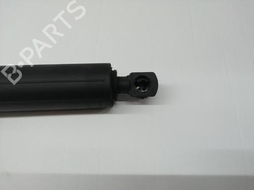 Tailgate lift support ALFA ROMEO STELVIO (949_)  | BP32071997C138 