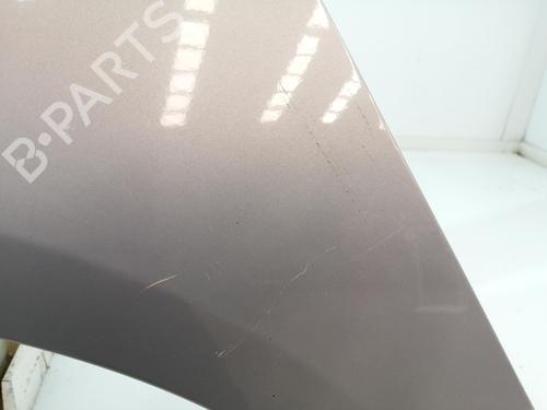 Left front fenders FORD GRAND C-MAX (DXA/CB7, DXA/CEU)  | BP28326239C41 