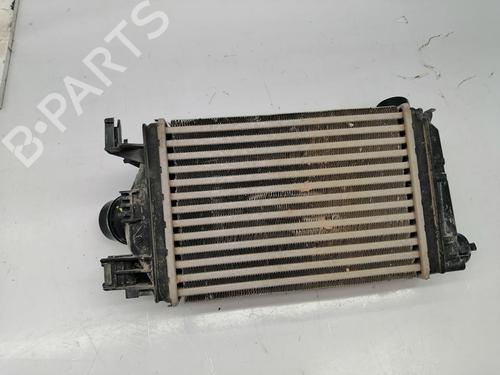 Intercooler DACIA SANDERO III | BP37030262M30 - Image 2