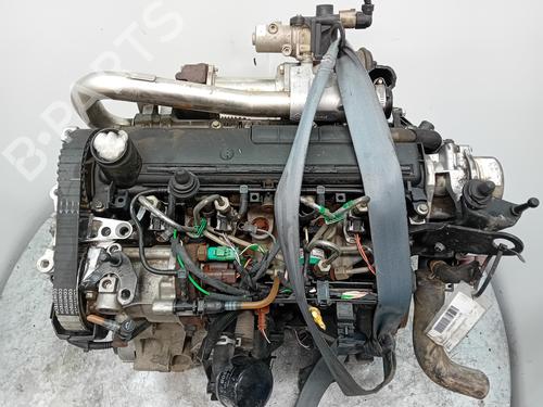 Used Engine RENAULT KANGOO (KC0/1_) [1997-2025]  28209184