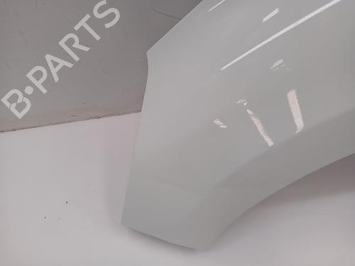 Left front fenders RENAULT CLIO IV (BH_)  | BP29234684C41 