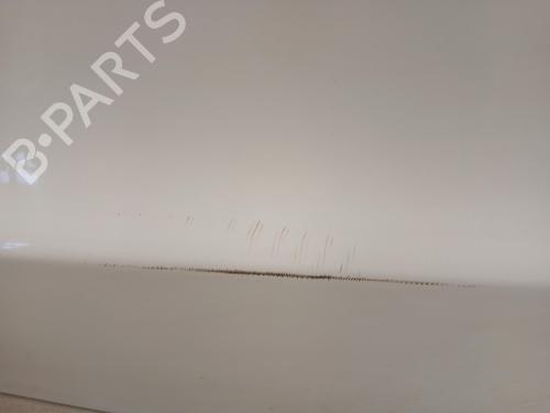 Left rear door TESLA MODEL 3 (5YJ3)  | BP29546901C4 