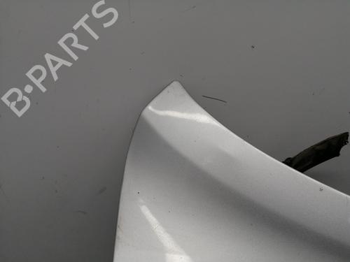 Tailgate RENAULT MEGANE II (BM0/1_, CM0/1_)  | BP25740757C6 