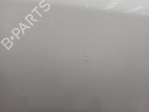 Portier rechts voor FIAT DOBLO Platform/Chassis (263_) 1.3 D Multijet | BP30699211C3