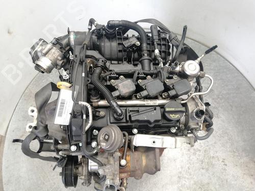 Used Engine FORD FIESTA VI (CB1, CCN) [2008-2025]  31041872