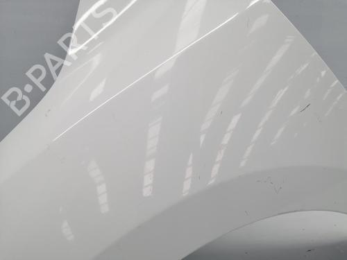 Left front fenders RENAULT MEGANE III Hatchback (BZ0/1_, B3_) | BP32311895C41