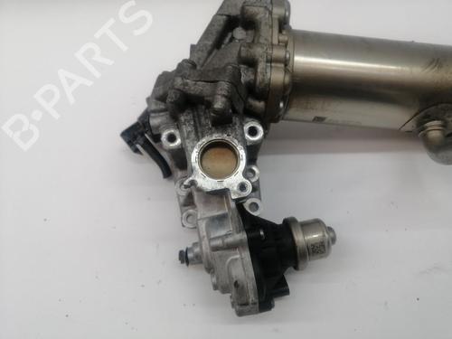 Egr FORD TRANSIT CUSTOM V362 Van (FY, FZ) | BP30749042M69