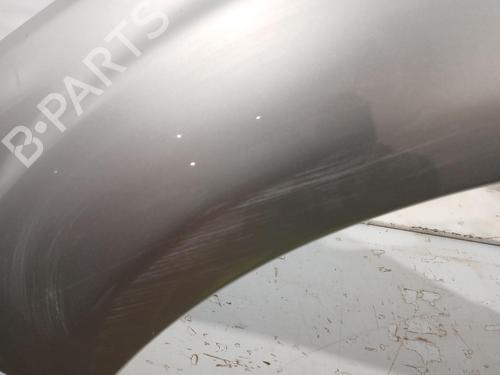 Left front fenders FORD FOCUS II (DA_, HCP, DP)  | BP29347591C41 