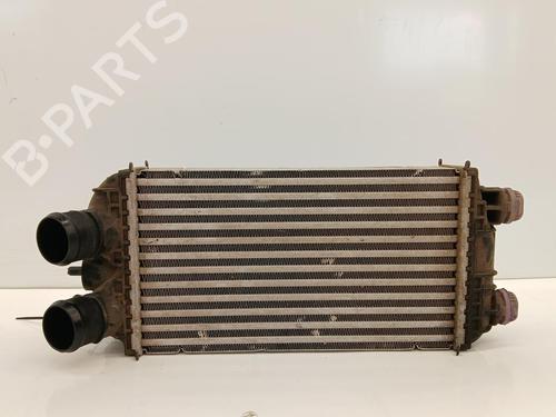 Used Intercooler Intercooler PEUGEOT 2008 II (UD_, US_, UY_, UJ_, UR_, UC_) [2019-2026] 36276152 36276152
