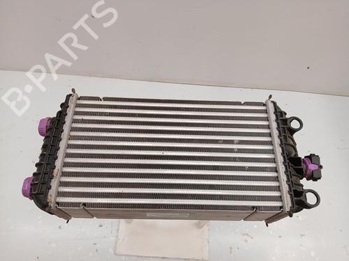 Intercooler CITROËN C4 III (BA_, BB_, BC_)  | BP29849718M30