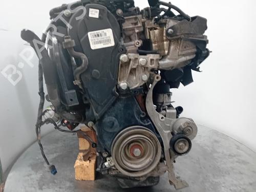 Engine FORD C-MAX II (DXA/CB7, DXA/CEU)  | BP29904216M1