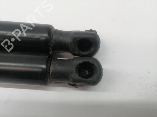 Tailgate lift support OPEL CROSSLAND X / CROSSLAND (P17, P2QO)  | BP29972059C138