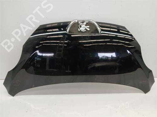 Panser Panser PEUGEOT 107 (PM_, PN_) 1.4 HDi (54 hp) 38541284 38541284