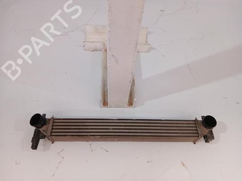 Intercooler Intercooler VW POLO V (6R1, 6C1) [2009-2022] 33817843 33817843