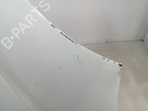 Hood RENAULT KANGOO (KC0/1_) 1.5 dCi | BP29303397C1 